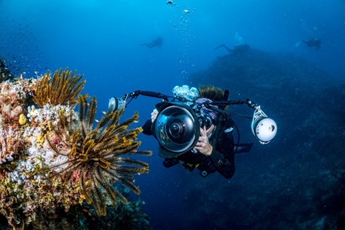 PADI Digital Underwater Photographer