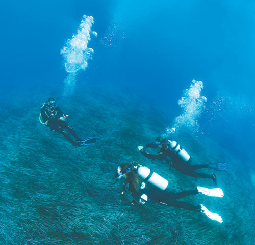 PADI Divemaster (DM)